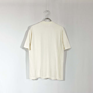 Hanes "ピサの斜塔" アート Tシャツ