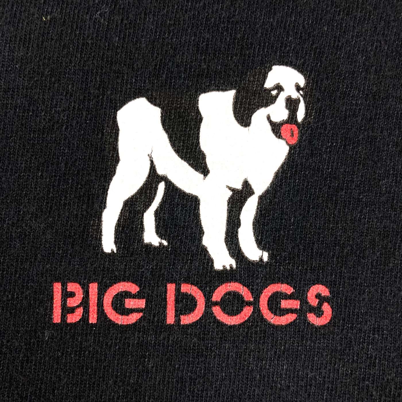 古着–BIG DOGS バックプリントTシャツ – 【古着通販】 Gleeful